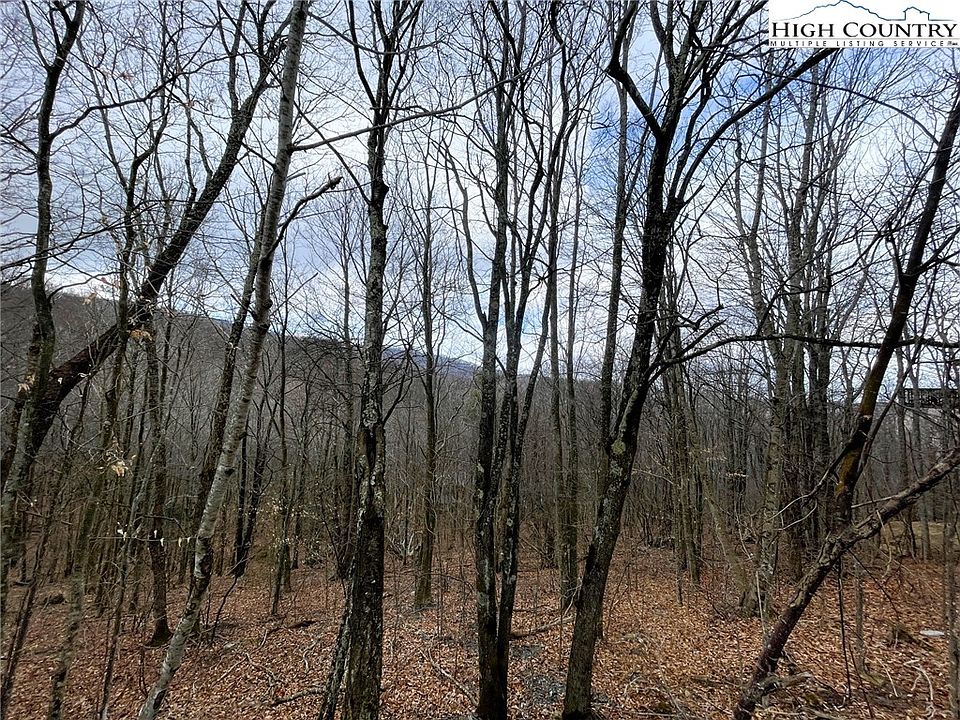 1st image of 116 Aster Trail