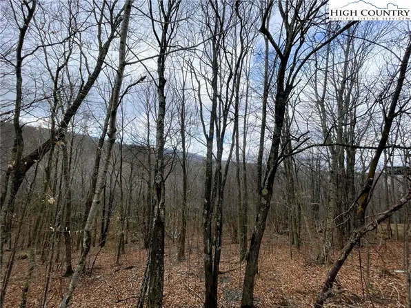 116 Aster Trail, Beech Mountain, NC 28604