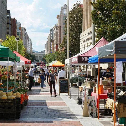 Historic Row — Photo 19