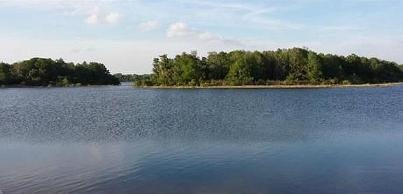 Saddlebrook Lakes looking into the islands