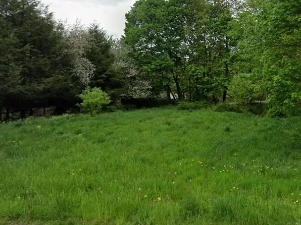 Floral Drive, Monticello, NY 12701