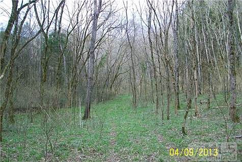 4th image of 442 N Fork Ln