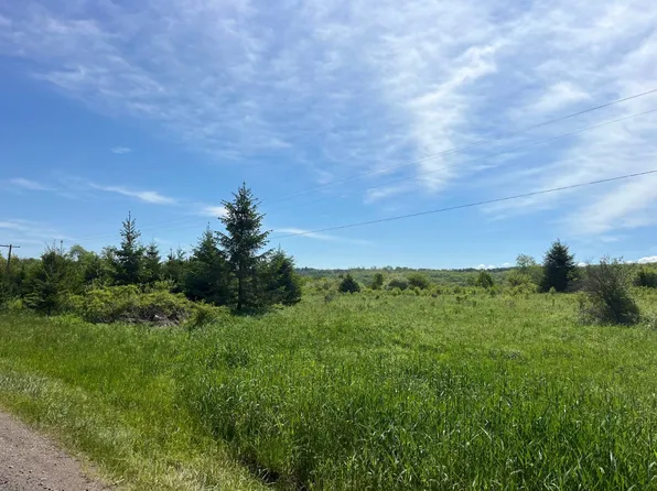 2 Fairview Rd, Farmersville Station, NY 14060