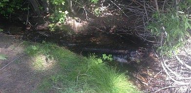 4th image of 700 Hawkins Ranch Road