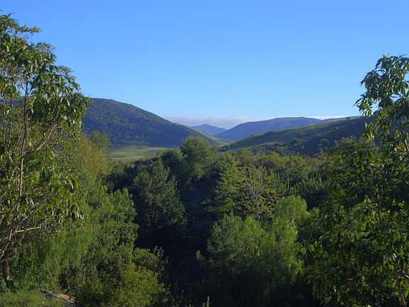 Aliso Woods