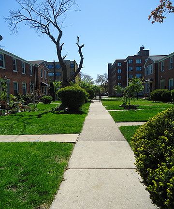 3rd image of 7851 S South Shore Dr #1