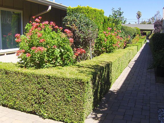3rd image of 1349 Park Dr