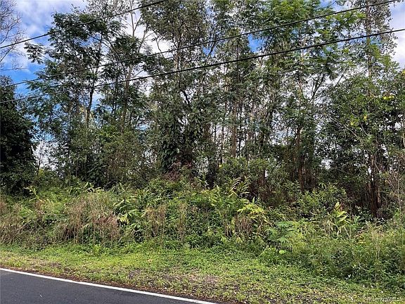 4th image of Gardenia Dr Lot 19