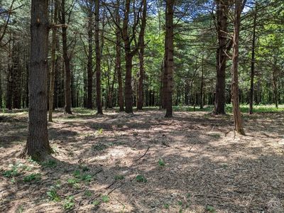 1755 Sleepy Hollow Road, Coxsackie, NY, 12015