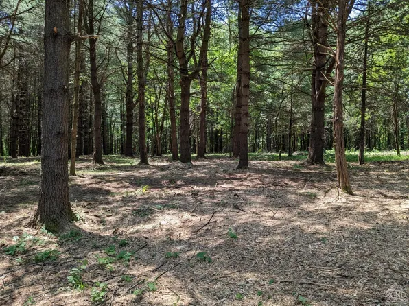 1755 Sleepy Hollow Road, Coxsackie, NY 12015