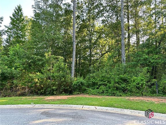 5th image of 2401 Downs Creek Drive