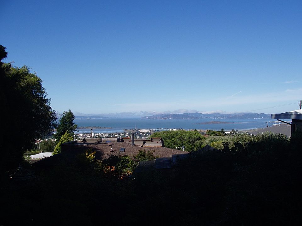 View from Back Yard
