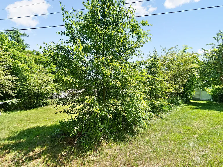 478 Thompkins Ln #B — Photo 19
