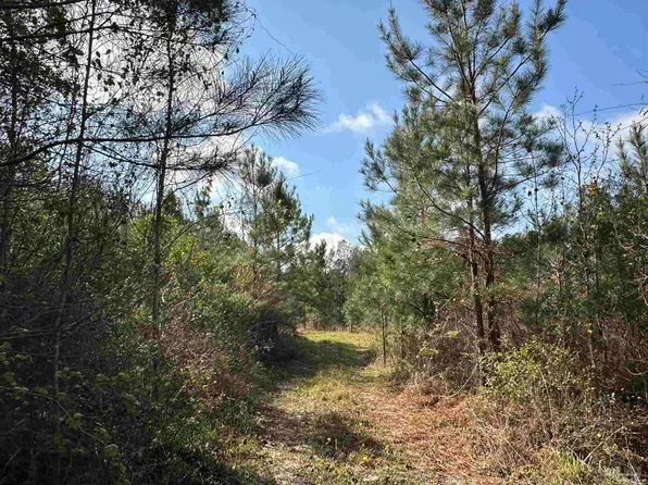 Snider Ave, Frisco City, AL 36445