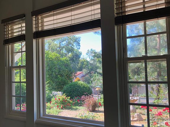 View from living room outside to rose garden and bird feeder.