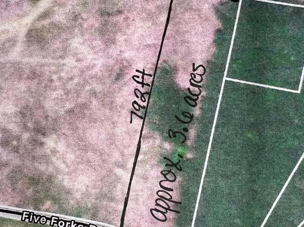 0 Five Forks Rd, Pamplin, VA 23958