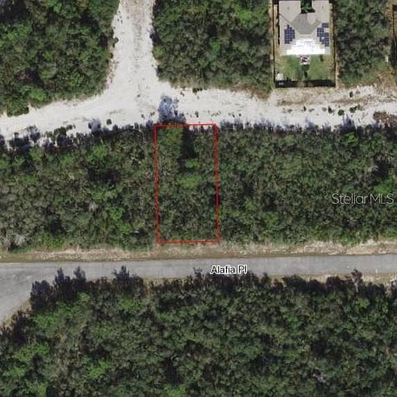 1st image of 609 Alafia Pl