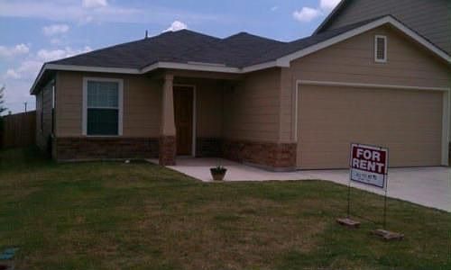 1st image of 3906 Texas Hawthorn