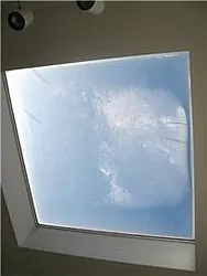 Rented by Mark David