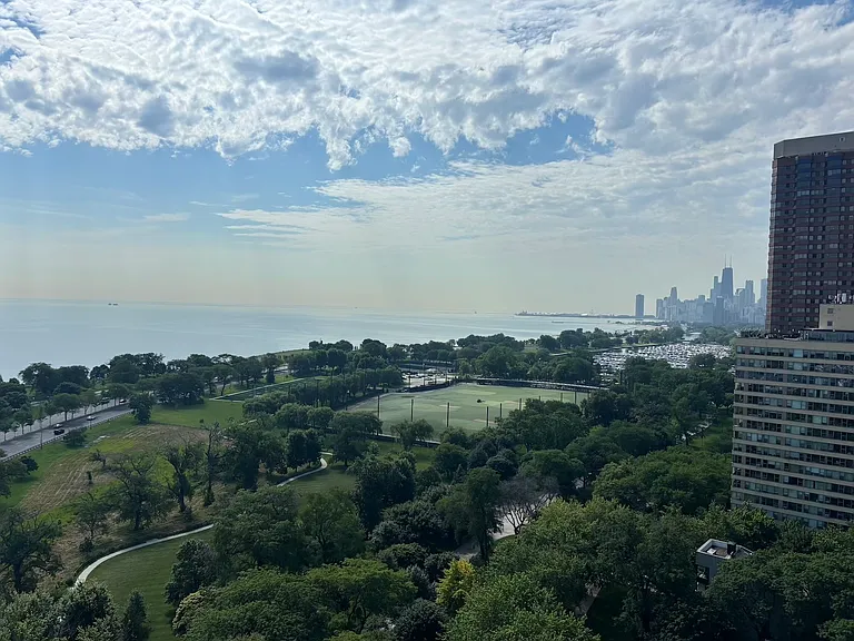 3100 N Lakeshore Dr #706 — Photo 17
