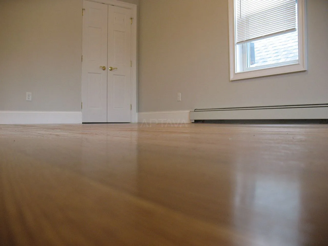 Davis Square / Porter Square / Ball Square area, 5 bedroom, 2 bathroom apartment — Photo 3