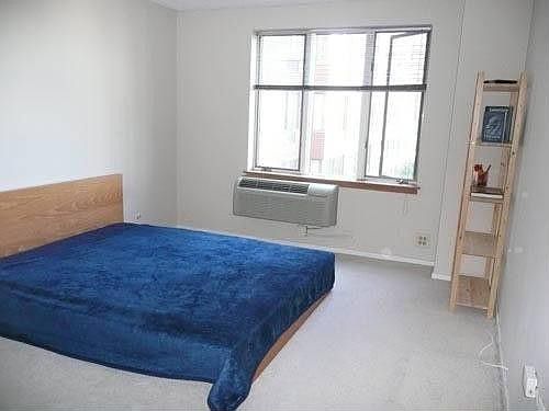 4th image of 801 S Plymouth Ct APT 514