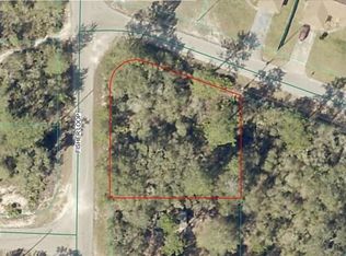 9035-1003 SW Fisher Loop #10, Ocklawaha, FL 32179