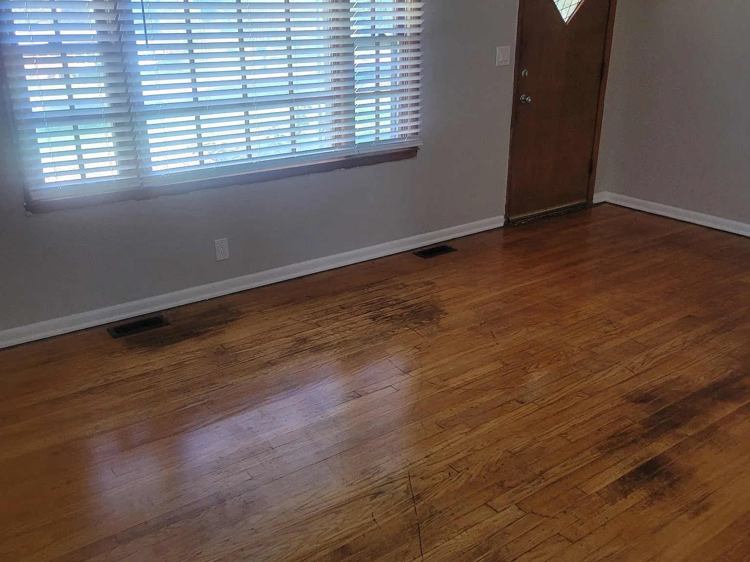 527A Donald St — Photo 2