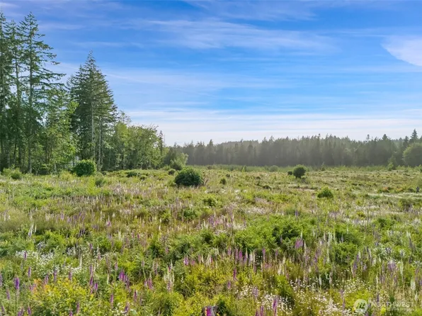 0 TR2 SE Wellswood Way, Shelton, WA 98584