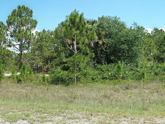 Panoramic frontage view