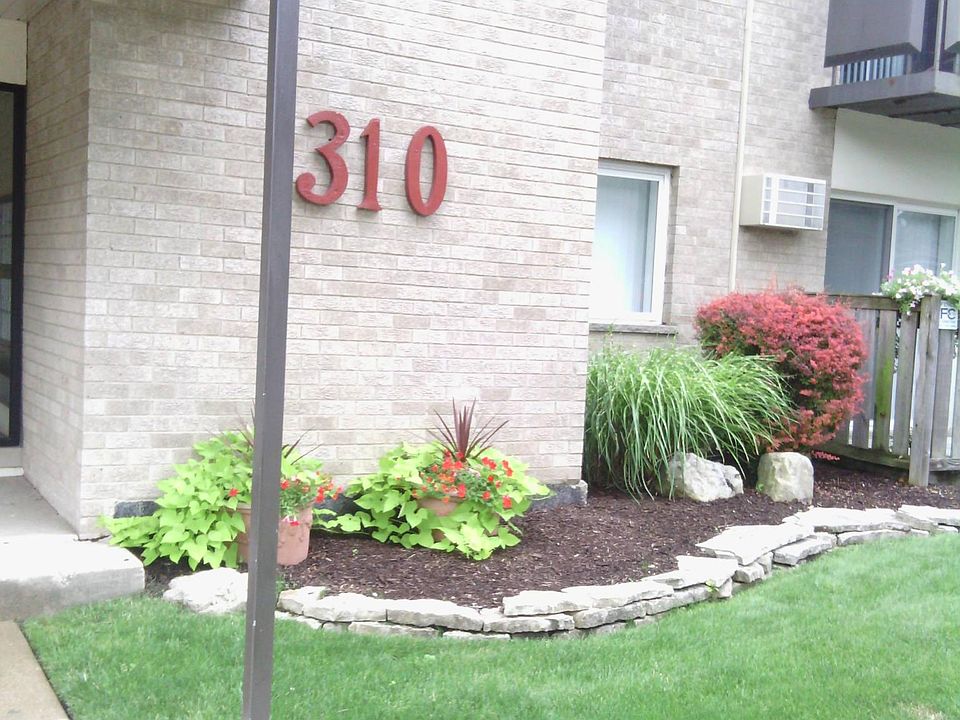 1st image of 310 Lathrop Ave APT 311