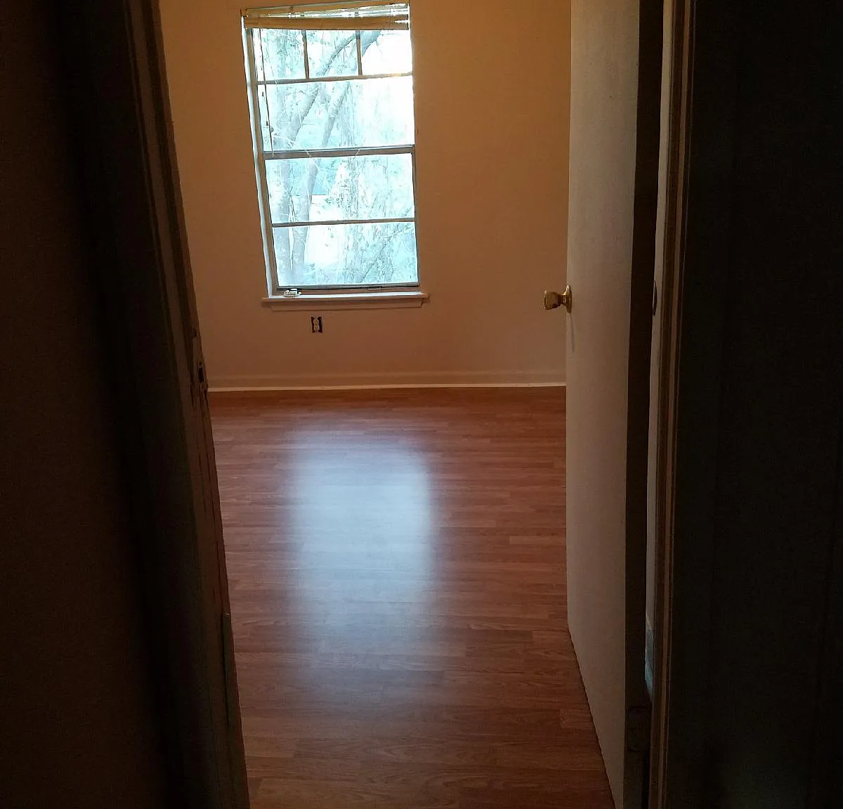 2 bed, 700 sqft, $1,400 — Photo 4