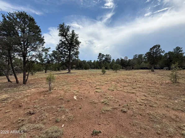3048 CHEVELON Road #147, Overgaard, AZ 85933