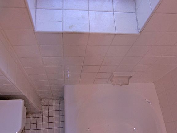 4th image of 1649 Nelson Ave APT 2D