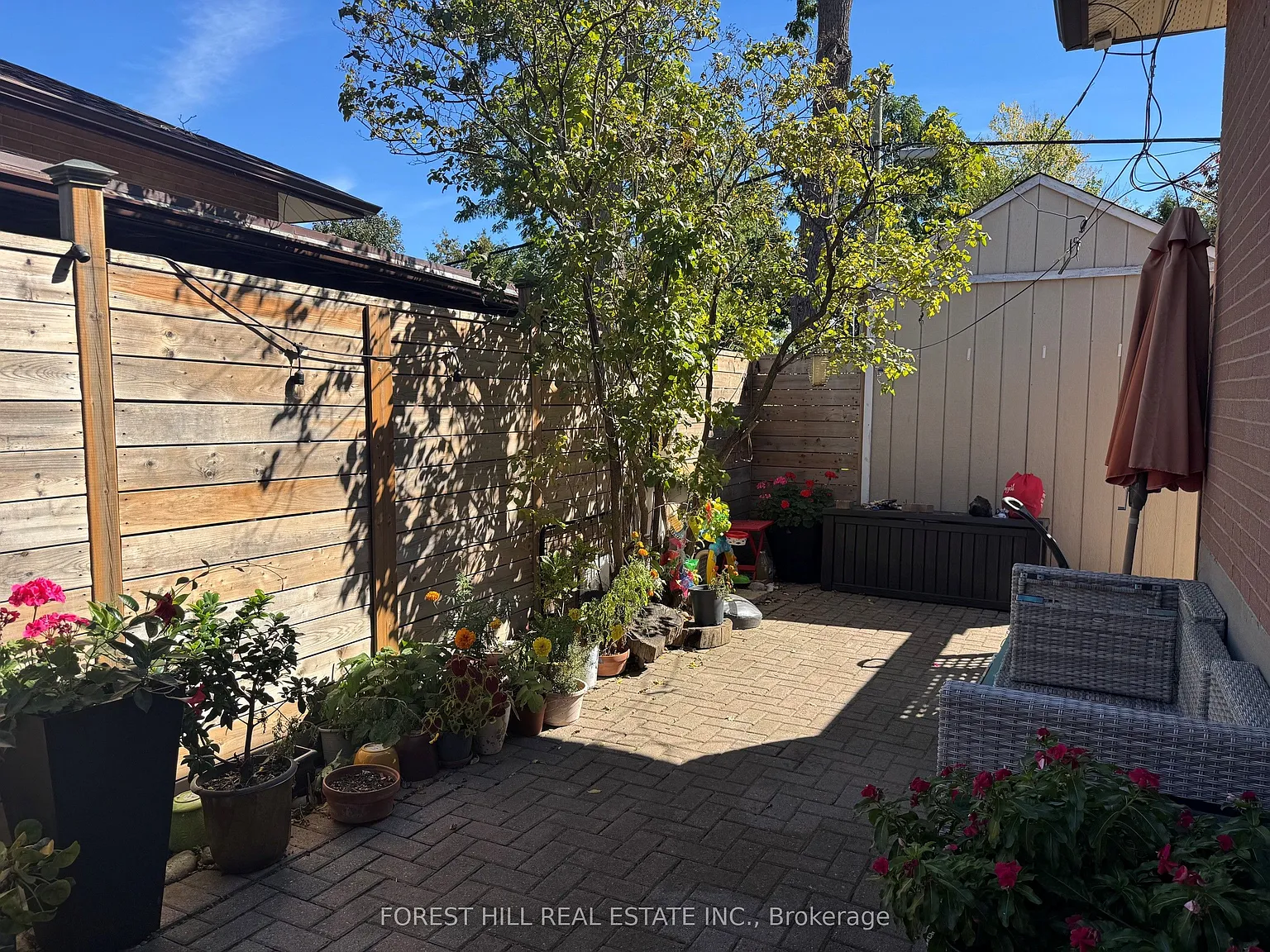 1 bed, $1,800 — Photo 2
