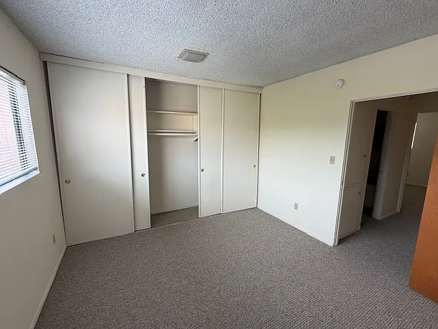 2004 Apex Ave — Photo 15