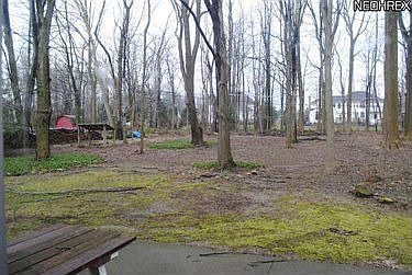 3rd image of 8342 Vera Dr