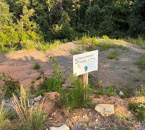 5th image of LOT 9 Widow Mountain Dr Lot 9