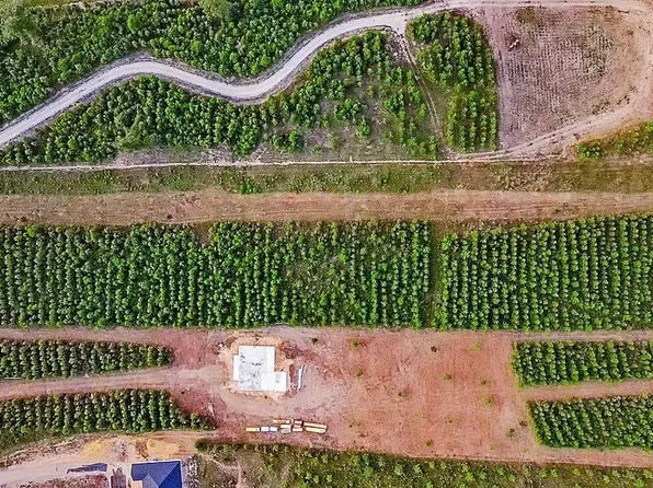 151047 Cc Rd, Diboll, TX 75941