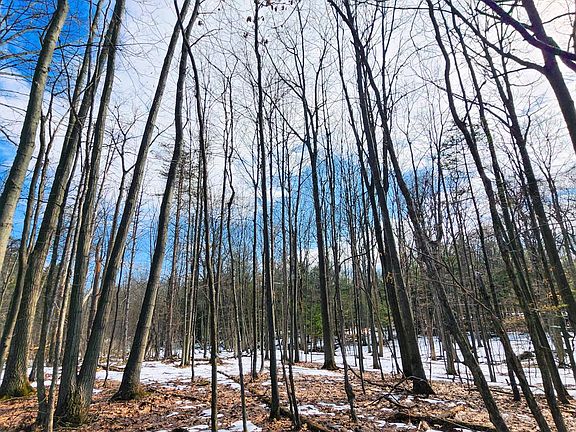 3rd image of 00WP Township Rd