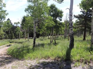 1979 Pitchfork Rd LOT 1224, Hartsel, CO 80449