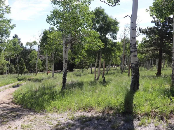 1979 Pitchfork Road LOT 1224, Hartsel, CO 80449