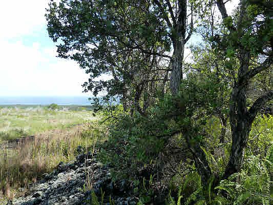 2nd image of Kaimu Makena Hmstd Lot 12-A