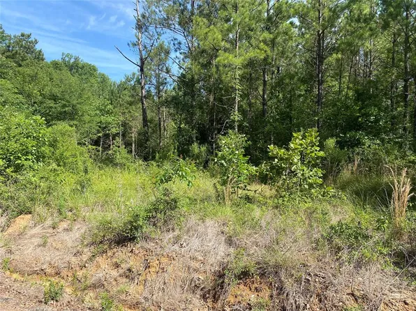 110 Robinson Ln, Benton, LA 71006