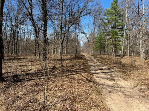 V/l W Mile Rd #9, Irons, MI 49644