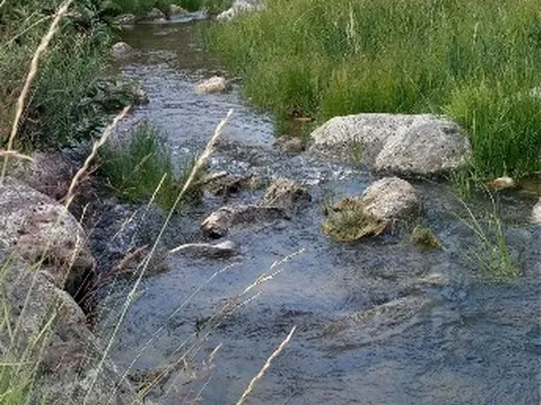 0 County Road 41, Hamilton, CO 81638