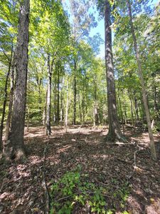 9 Cedar Lake Rd, South Boston, VA, 24592