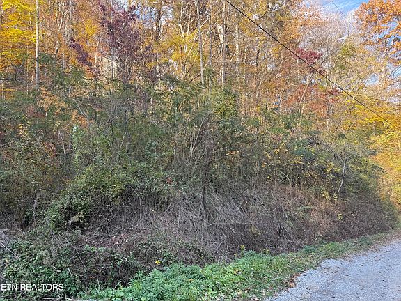 4th image of Trentham Way