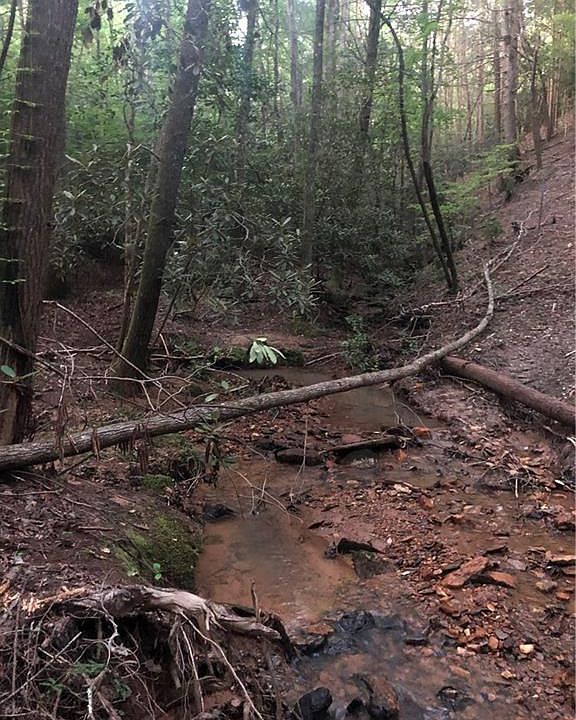 10 Etowah River Campground Rd, Dahlonega, GA 30533 MLS 7069345 Zillow