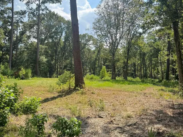 22863 Green Acres Blvd, Denham Springs, LA 70726